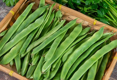 Canasta con vainas de habichuelas tubulares 