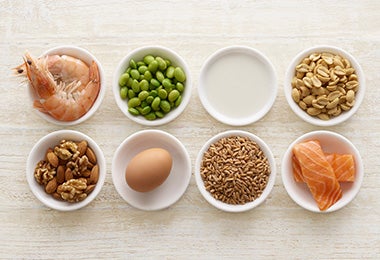 Ingredientes con proteínas, legumbres clasificación alimentos    