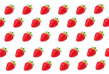 Conservar fresas varias