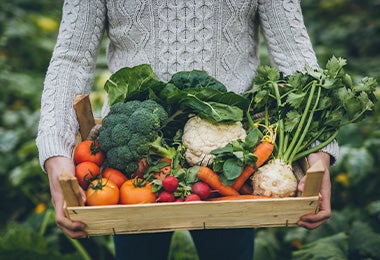 Múltiples verduras listas para ser utilizadas en recetas para rutinas de ejercicio 