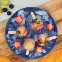 PALETA FRUTAL preparada con GERBER®